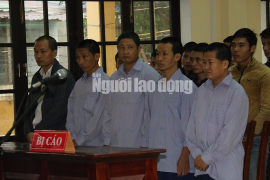 Vụ phá rừng pơ mu: Cựu phó Đồn Biên phòng cửa khẩu Nam Giang hầu tòa