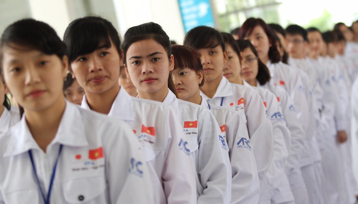 Công ty XKLĐ nhân lực TTC Việt Nam và Công ty XKLĐ kết nối nhân lực Việt bị đình chỉ đưa thực tập sinh sang Nhật Bản