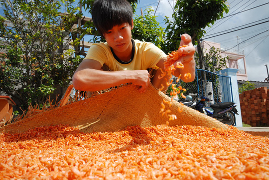 Làng nghề tất bật đón Tết