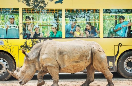 Người dân miền Trung, Tây Nam Bộ tận hưởng ưu đãi chưa từng có từ Vinpearl Land & Safari