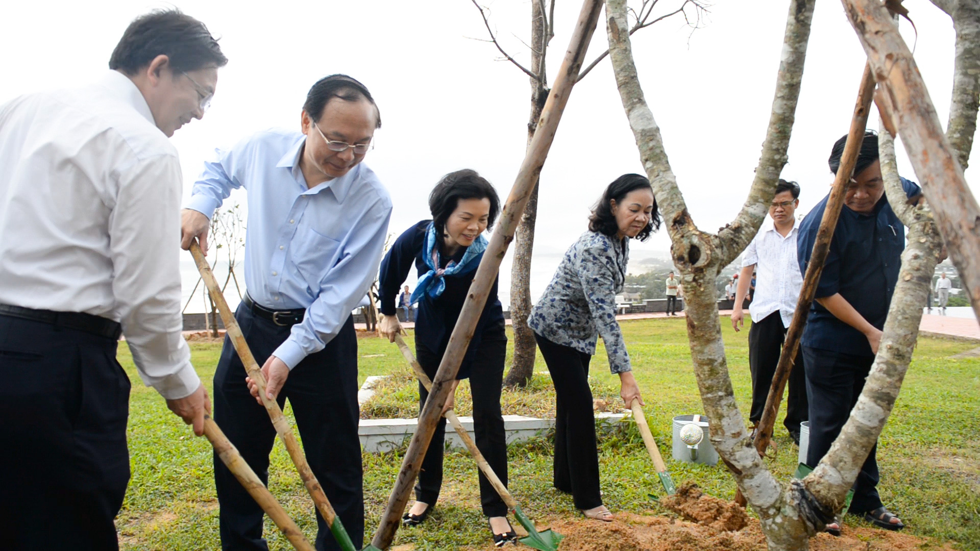 Vinamilk cùng quỹ 1 triệu cây xanh cho Việt Nam trồng cây góp phần chống biến đổi khí hậu tại tỉnh Bình Định