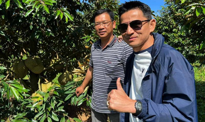 Kiatisuk tham quan nông trường sầu riêng sắp thu hoạch của bầu Đức