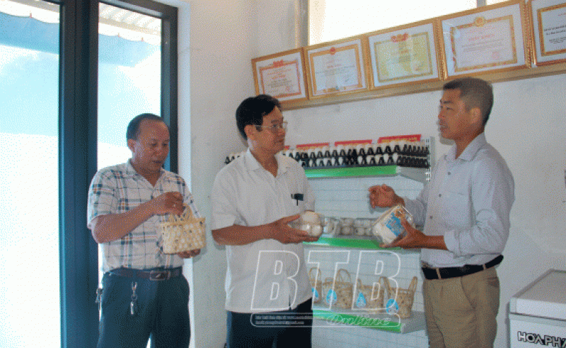 Hiệp hội Gia cầm và Trang trại nông nghiệp Thái Bình đồng hành cùng nông dân phát triển kinh tế