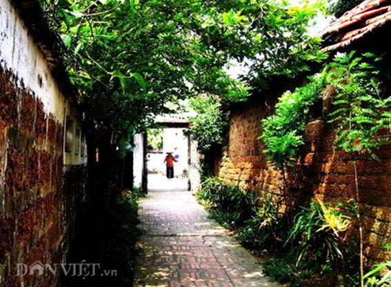 Bâng khuâng chiều cuối năm