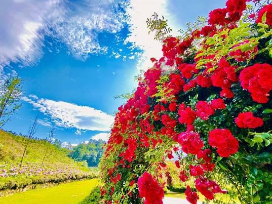 Những điểm du lịch nổi tiếng âm thầm “khoác áo mới” chờ tái xuất