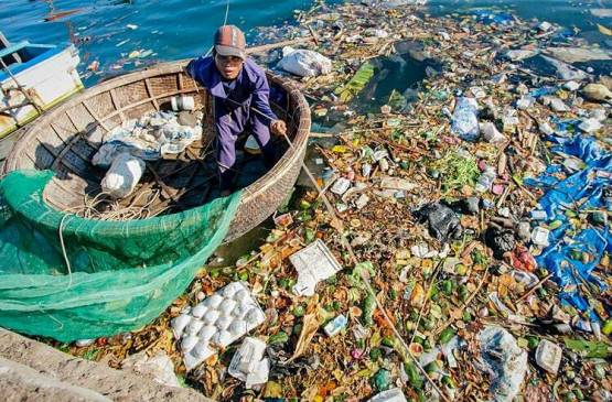 Loài Nhựa – Một vấn đề còn rất nhiều trăn trở...