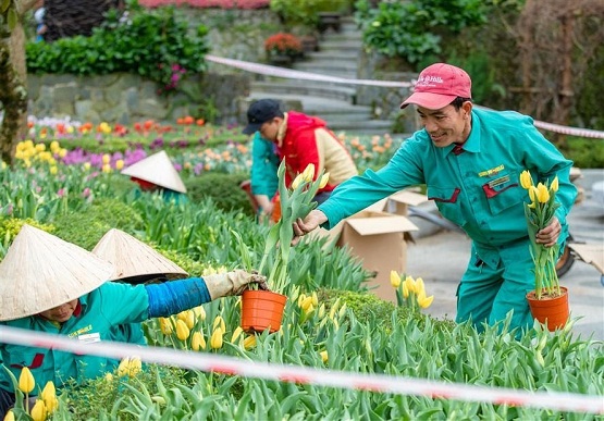 Sun Group lọt Top 10 thương hiệu xuất sắc Việt Nam