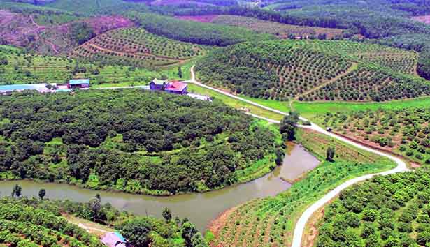 Huyện Hương Sơn (Hà Tĩnh) phấn đấu đạt chuẩn huyện Nông thôn mới trong năm 2021