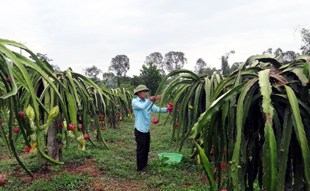 Xây dựng NTM ở xã Ngọc Sơn (Hà Tĩnh): Những thành quả đáng tự hào