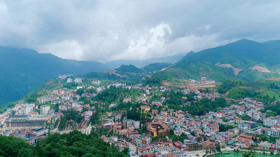 Trà thu ở phố đồi