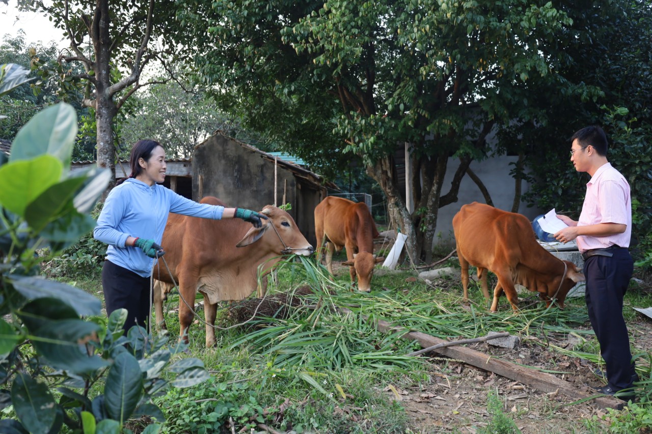 Sử dụng hiệu quả nguồn vốn vay, nhiều hộ dân Quảng Bình vươn lên thoát nghèo